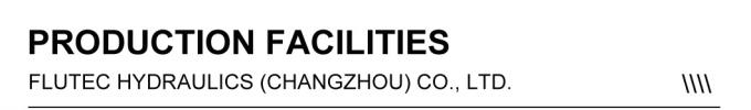 ISO9001 Hydraulische Zylinder / Hydraulischer Bohrzylinder für Eimerbagger 2