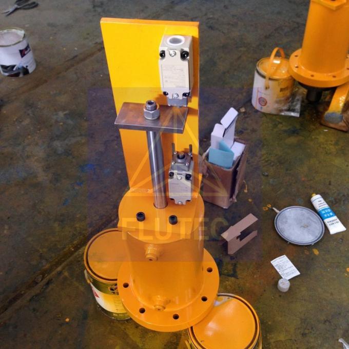 Hydraulischer Zylinder für Staudamm-Gate, SGS-zertifiziert 5