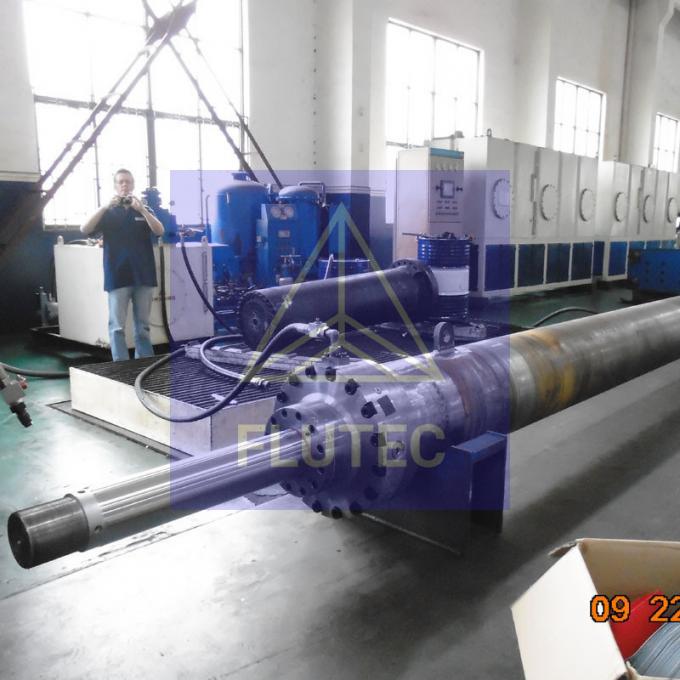 Hydraulischer Presszylinder mit hohem Ruf für Offshore-System 4