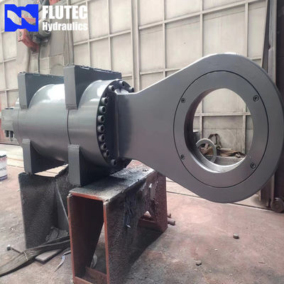 Special customised shaped Heavy Hydraulic Cylinder For Cement Industry
